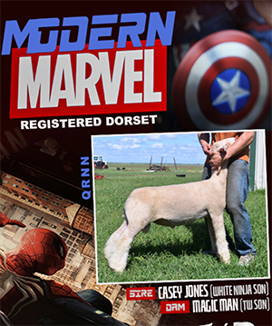 Marvel