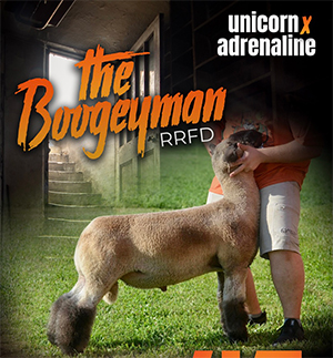 The Boogeyman