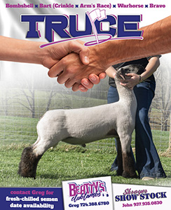 Truce