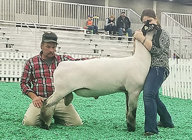Scarlet Acres Winners