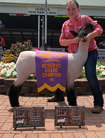 Scarlett Acres Winners