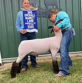 Scarlet Acres Winners